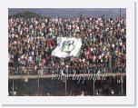 PICT0030_avellino foggia invasione di campo * 666 x 500 * (171KB)